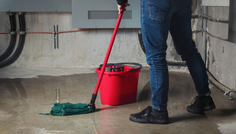 Flooded Basement Cleanup in Mesa, AZ