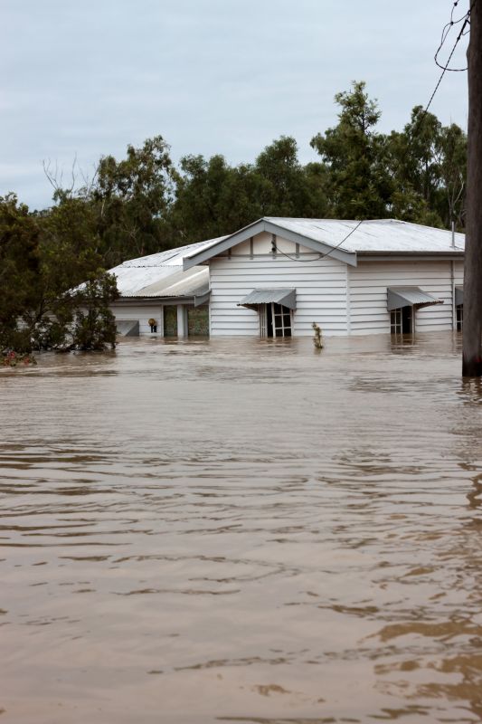 Water Damage Mitigation in Mesa, AZ