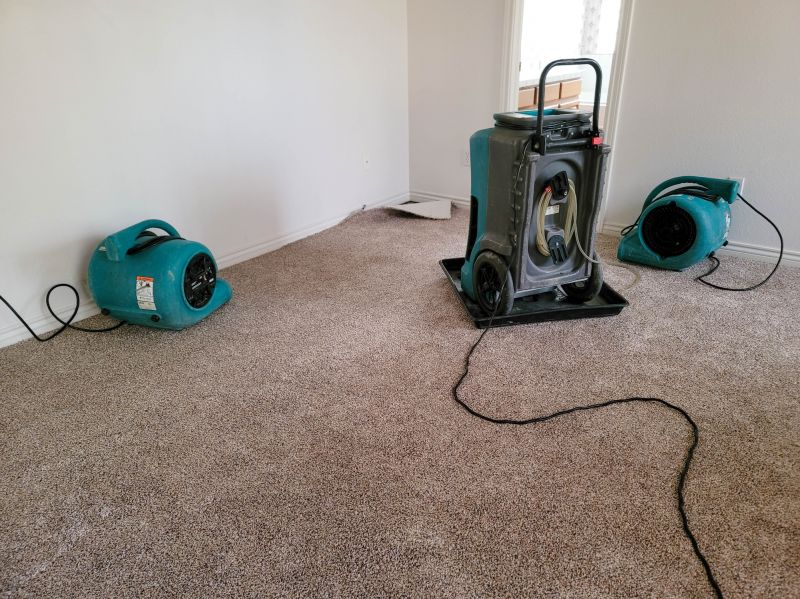 Water Damage Remediation in Chandler, AZ